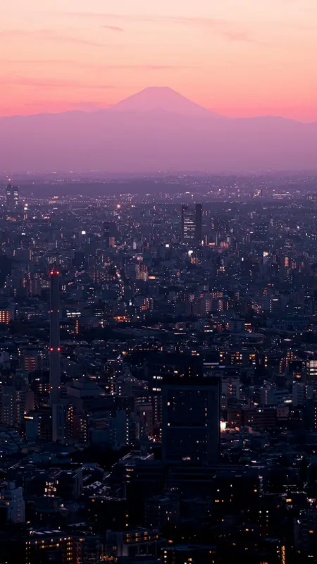 Russell.Tokyo Premium Domain